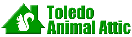 Toledo Animal Attic